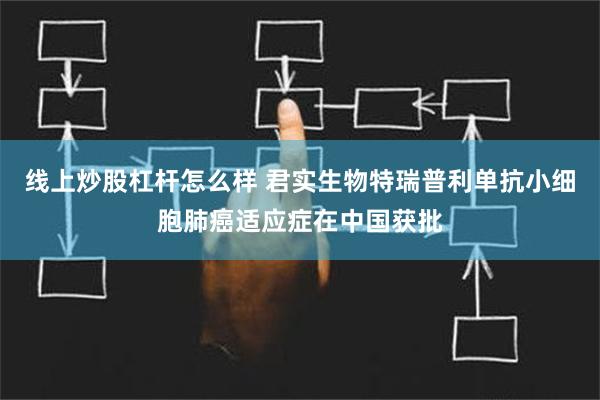 线上炒股杠杆怎么样 君实生物特瑞普利单抗小细胞肺癌适应症在中国获批