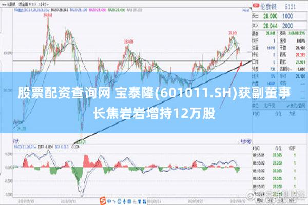 股票配资查询网 宝泰隆(601011.SH)获副董事长焦岩岩增持12万股