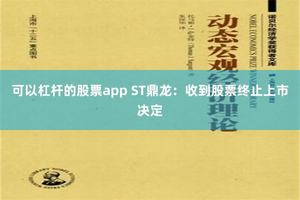 可以杠杆的股票app ST鼎龙：收到股票终止上市决定