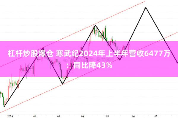 杠杆炒股爆仓 寒武纪2024年上半年营收6477万：同比降43%