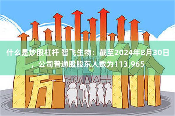 什么是炒股杠杆 智飞生物：截至2024年8月30日，公司普通股股东人数为113,965