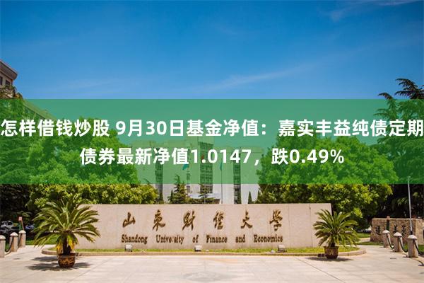 怎样借钱炒股 9月30日基金净值：嘉实丰益纯债定期债券最新净值1.0147，跌0.49%