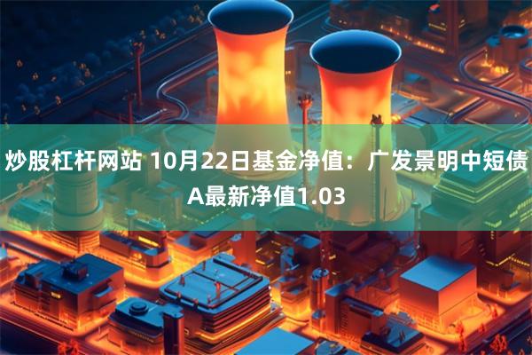 炒股杠杆网站 10月22日基金净值：广发景明中短债A最新净值1.03