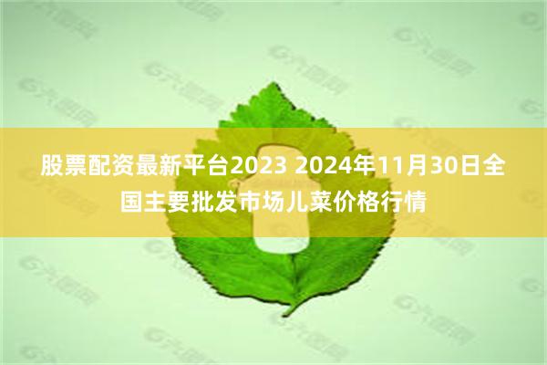 股票配资最新平台2023 2024年11月30日全国主要批发市场儿菜价格行情