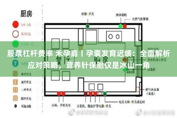 股票杠杆费率 禾孕嘉丨孕囊发育迟缓：全面解析应对策略，营养针保胎仅是冰山一角