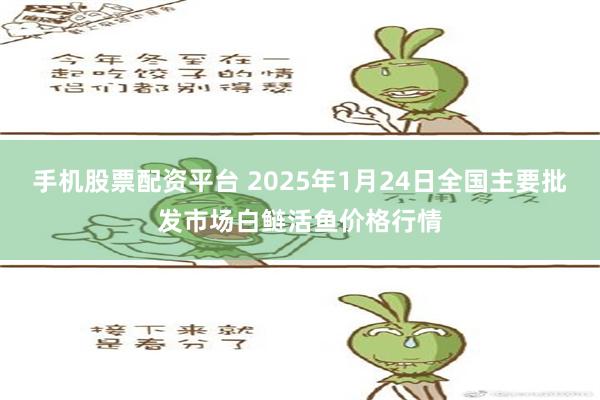 手机股票配资平台 2025年1月24日全国主要批发市场白鲢活鱼价格行情