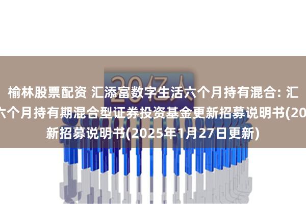 榆林股票配资 汇添富数字生活六个月持有混合: 汇添富数字生活主题六个月持有期混合型证券投资基金更新招募说明书(2025年1月27日更新)