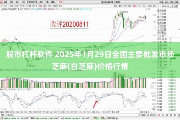 股市杠杆软件 2025年1月29日全国主要批发市场芝麻(白芝麻)价格行情