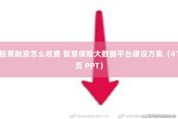 股票融资怎么收费 智慧保险大数据平台建设方案（41页 PPT）